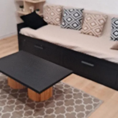 Tulipe21 * Ντιζόν